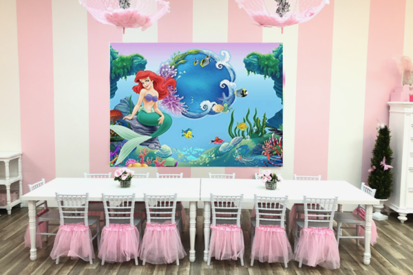 Little Princess Spa Pembroke Pines Backdrop Panel Options