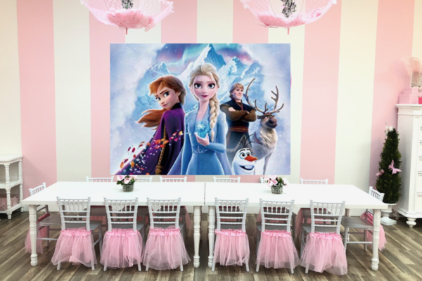 Little Princess Spa Pembroke Pines Backdrop Panel Options